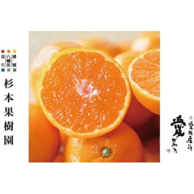 【家庭用】真穴、八寿みかん(南柑20号)3kg【A34-39】