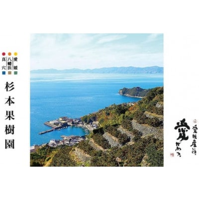 【家庭用】真穴、八寿みかん(南柑20号)3kg【A34-39】