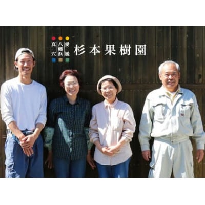 【家庭用】真穴、八寿みかん(南柑20号)3kg【A34-39】