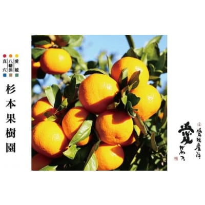 【家庭用】真穴、八寿みかん(南柑20号)5kg【C34-40】