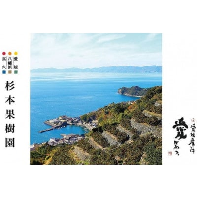 【家庭用】真穴、八寿みかん(南柑20号)5kg【C34-40】