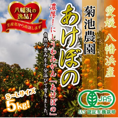 【JAS認証有機栽培】濃厚! 西宇和産みかん「あけぼの」 S~Lサイズ 5キロ 【C39-28】