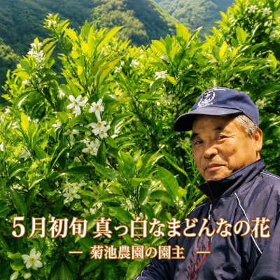 【JAS認証有機栽培】こんな柑橘初めてプルプル新食感「まどんな」約3kg【D39-25】