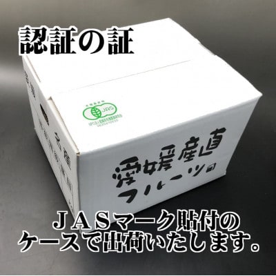 【JAS認証有機栽培】こんな柑橘初めて‼プルプル新食感‼「まどんな」約3kg【C39-25】
