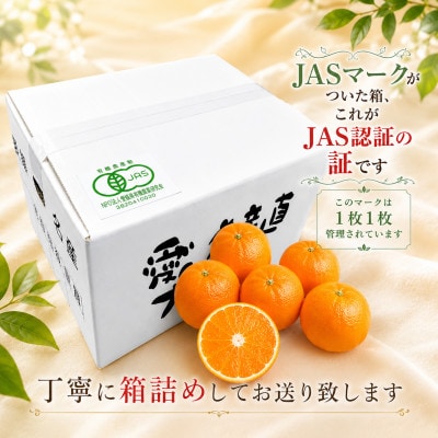 【JAS認証有機栽培】こんな柑橘初めてプルプル新食感「まどんな」約3kg【D39-25】