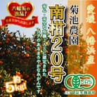 【JAS認証有機栽培】濃厚な味わいの温州みかん!!菊池農園「南柑20号」5kg【C39-23】