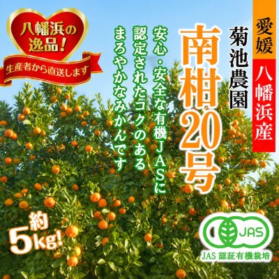 【JAS認証有機栽培】濃厚な味わいの温州みかん!!菊池農園「南柑20号」5kg【C39-23】