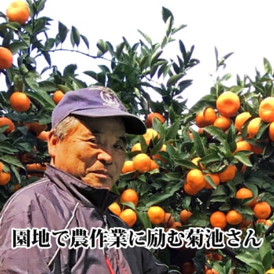 【JAS認証有機栽培】濃厚な味わいの温州みかん!!菊池農園「南柑20号」5kg【C39-23】