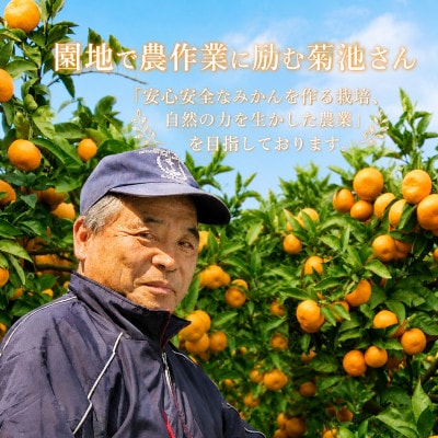 【JAS認証有機栽培】濃厚な味わいの温州みかん!!菊池農園「南柑20号」5kg【C39-23】