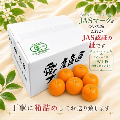 【JAS認証有機栽培】濃厚な味わいの温州みかん!!菊池農園「南柑20号」5kg【C39-23】