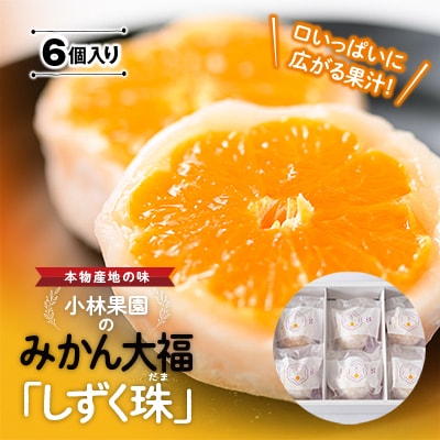 “本物産地の味” みかん大福「しずく珠(だま)」口いっぱいに広がる果汁!【C24-11】
