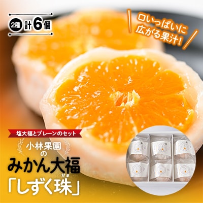 “塩大福とプレーンのセット” みかん大福「しずく珠(だま)」口いっぱいに広がる果汁!【C24-12】