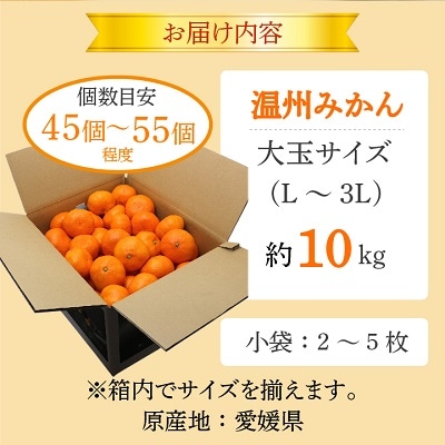 小林果園の果汁たっぷり愛媛みかん(約10kg)【C24-14】