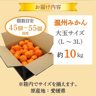 小林果園の果汁たっぷり愛媛みかん(約10kg)【C24-14】