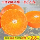 小林果園の媛一まどんな(約2.8kg)【C24-16】