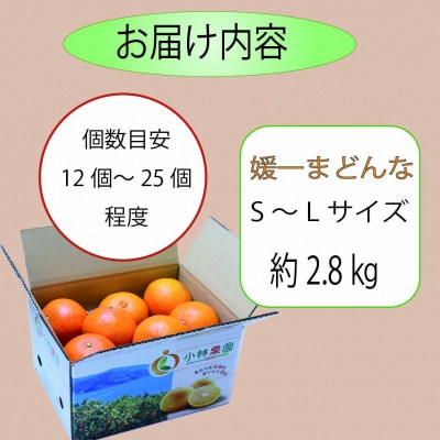 小林果園の媛一まどんな(約2.8kg)【C24-16】