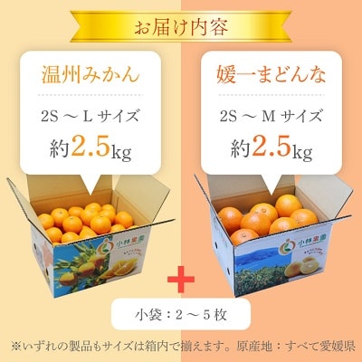 小林果園のみかん&媛一まどんなセット(各約2.5kg入)【C24-17】