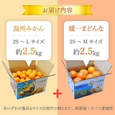 小林果園のみかん&媛一まどんなセット(各約2.5kg入)【C24-17】