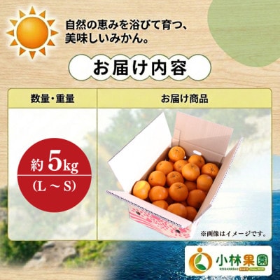 小林果園のポンカン(約5kg)【C24-18】