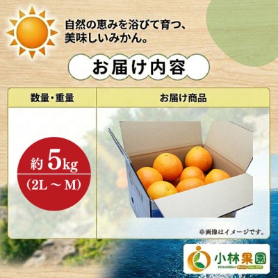 小林果園の宮内いよかん(約5kg)【C24-19】