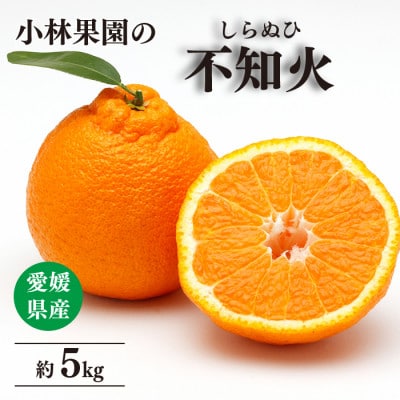 小林果園の不知火(約5kg)【C24-20】