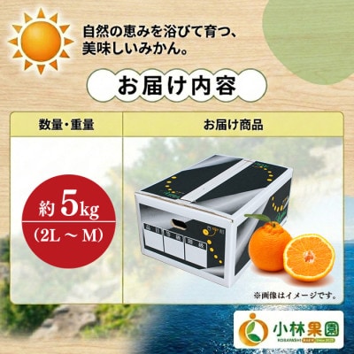 小林果園の不知火(約5kg)【C24-20】