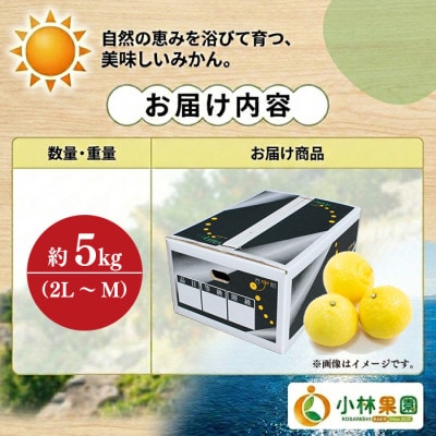小林果園のはるか(約5kg)【C24-22】