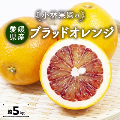 小林果園のブラッドオレンジ(約5kg)【C24-24】