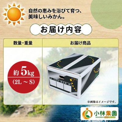小林果園のブラッドオレンジ(約5kg)【C24-24】
