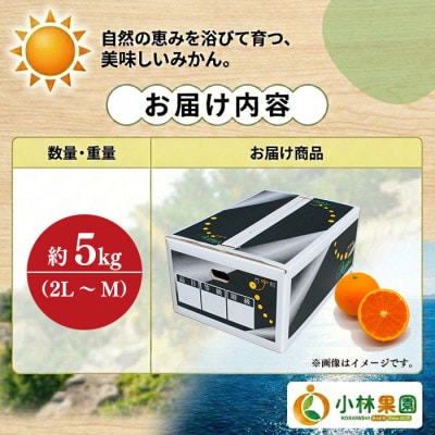 小林果園の清見(約5kg)【C24-25】