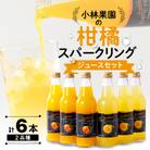 小林果園の柑橘スパークリングジュースセット(2品種・計6本)【C24-28】