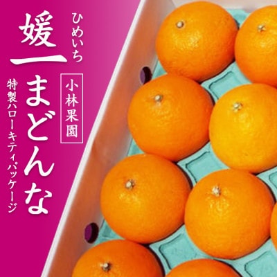 媛一まどんな ハローキティパッケージ3kg入り【大切な方への贈り物に】【D24-8】