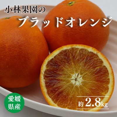 小林果園のブラッドオレンジ( 約2.8kg)【C24-32】