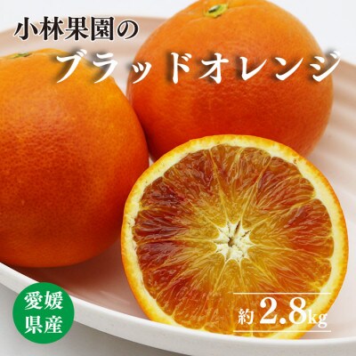小林果園のブラッドオレンジ( 約2.8kg)【C24-32】