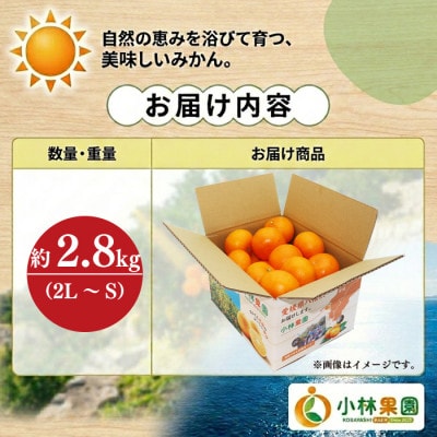 愛媛・小林果園のせとか 約2.8kg【C24-31】