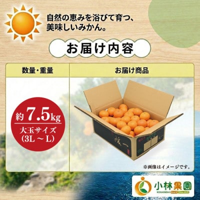 小林果園の果汁たっぷり愛媛みかん(約7.5kg)【C24-33】