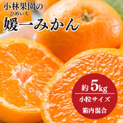 小林果園の媛一みかん【小粒】約5kg【C24-34】