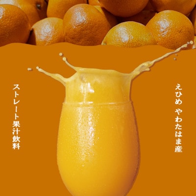 媛一ジュース160ml×8本セット・果汁100%ストレートジュース【D24-35】