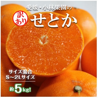 ★訳アリ★【数量限定500箱】　愛媛・小林果園のせとか　約5キロ【D24-38】