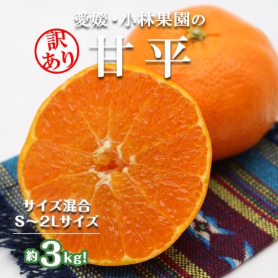 ★訳アリ★【数量限定300箱】　愛媛・小林果園の甘平(かんぺい)約3キロ【C24-39】