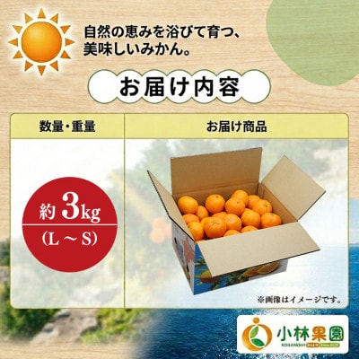 小林果園のポンカン(約3kg)【24-43】