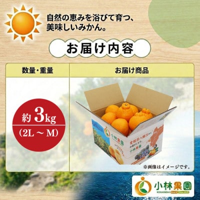 小林果園の不知火(約3kg)【24-44】