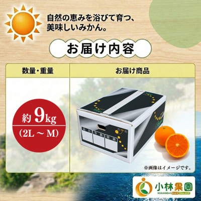 小林果園の清見(約9kg)【24-47】
