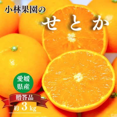 愛媛・小林果園のせとか 約3kg【大切な方への贈り物に】【24-50】
