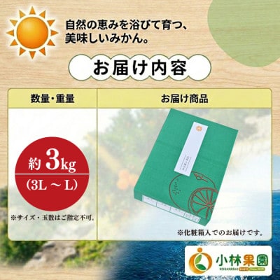 愛媛・小林果園のせとか 約3kg【大切な方への贈り物に】【24-50】