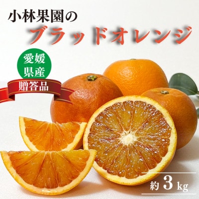 小林果園のブラッドオレンジ(約3kg)【大切な方への贈り物に】【24-51】