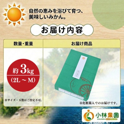 小林果園のブラッドオレンジ(約3kg)【大切な方への贈り物に】【24-51】