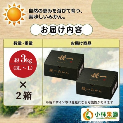 小林果園の手詰め大玉みかん(約3kg×2箱)【24-52】