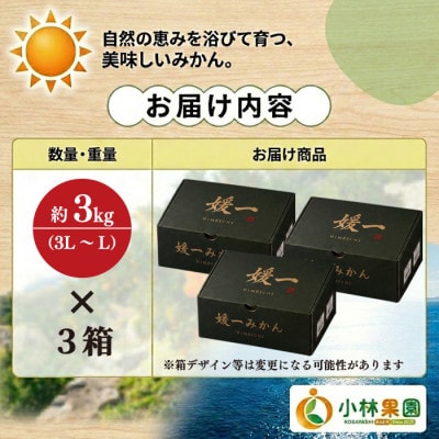 小林果園の手詰め大玉みかん(約3kg×3箱)【24-53】