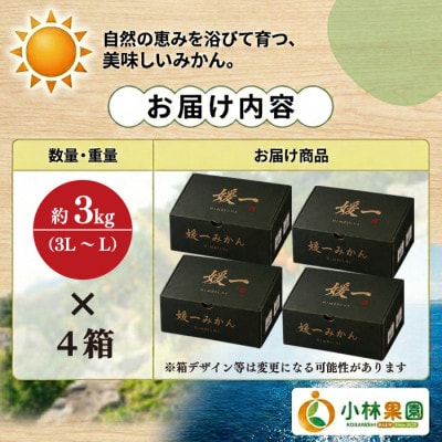 小林果園の手詰め大玉みかん(約3kg×4箱)【24-54】